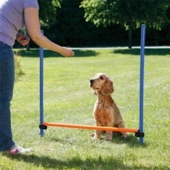 Trixie Agility Hürde -Hunter Shop agility huerde 3 7030337bOjM36aOQsCWJ