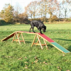 Trixie Agility Steg