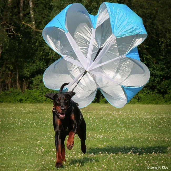 Bremsfallschirm Widerstandsschirm 1 Bremsfallschirm Widerstandsschirm