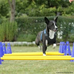 Cavaletti Steckhürden Set Für Hunde -Hunter Shop cavaletti p4dc9149 7854051