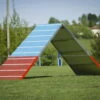 Dogsworld Agility A-Wand