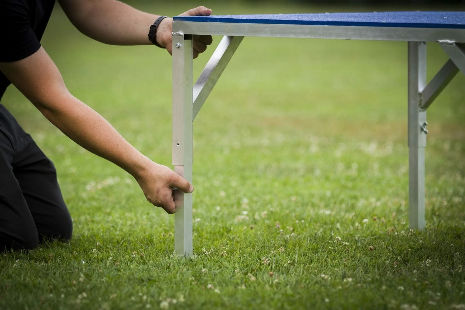 Dogsworld Agility Tisch Mit Tartanbelag 2 Dogsworld Agility Tisch Mit Tartanbelag – Bild 2