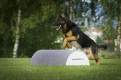 Dogsworld Turnierhundesport Halbtonne