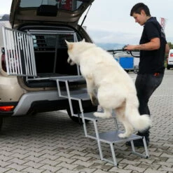 Dogsworld Falt-Treppe -Hunter Shop dogsworld falttreppe anwendung 440190m