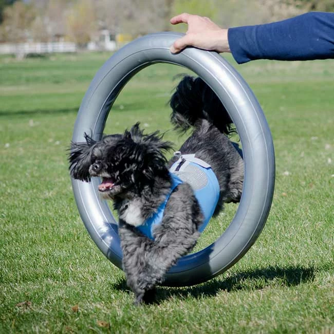 FitPAWS Donut Halterung 2 FitPAWS Donut Halterung – Bild 2