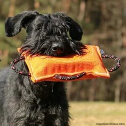 FreshLine Keilförmiges Beißkissen Nylcot -Hunter Shop freshline keilfoermigesbeisskissen p4dc5288 7425065yM2F6JYXoW0zq