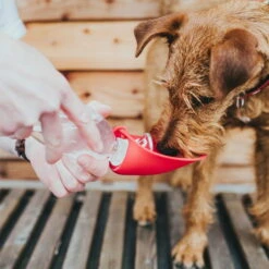 Hunter Outdoor Trinkflasche Mit Silikonnapf -Hunter Shop hunter trinkflasche list anwendung2 7072483MyvucusaO436w