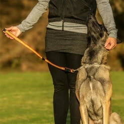 Niggeloh Unterordnungsleine De Luxe -Hunter Shop knut fuchs unterordnungsleine de luxe 70cm anwendung 7017076JD9gTMk4HQRlN