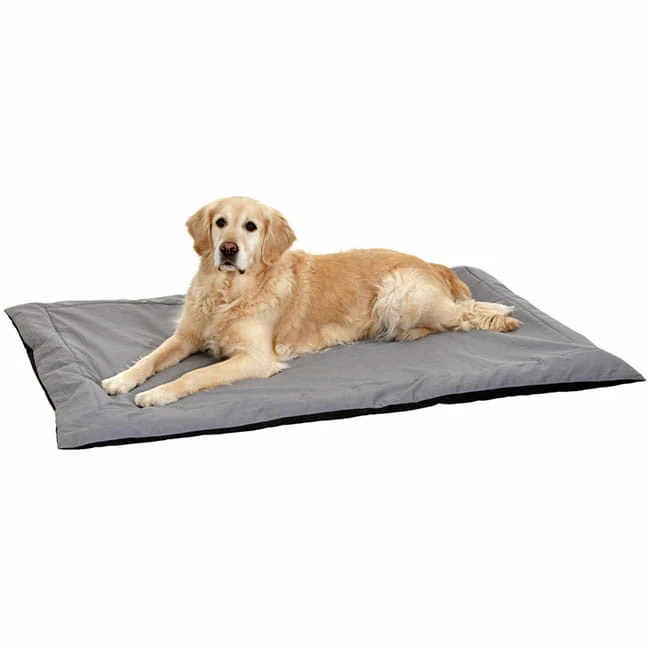 Karlie Liegedecke Doc Bed 1 Karlie Liegedecke Doc Bed