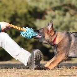 MOPIK KRABIK -Hunter Shop mopik krabik orang blau p4dc3547 7021325mBLNYODEqWCTP