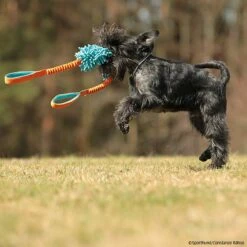 MOPIK KRABIK -Hunter Shop mopik krabik orang blau p4dc5387 7021325cX8i6p3N6jj4N