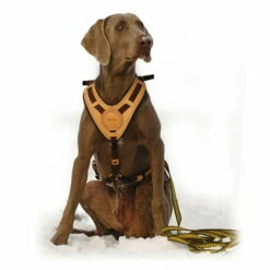 Niggeloh Geschirr Mantrailing -Hunter Shop niggeloh geschirr mantrailing anwendung 7017100wkXplHKuEBTA8