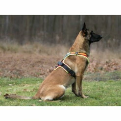 Hundeführgeschirr Follow Sport PLUS -Hunter Shop niggeloh hundefuehrgeschirr follow sport plus anwendung2 7017055