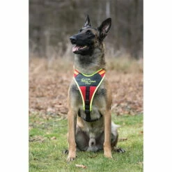 Hundeführgeschirr Follow Sport PLUS -Hunter Shop niggeloh hundefuehrgeschirr follow sport plus anwendung 7017055