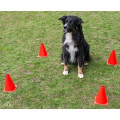 Obedience Starter-Set 7 Obedience Starter-Set -Hunter Shop obedience start set anwendung2 procyon 7030363