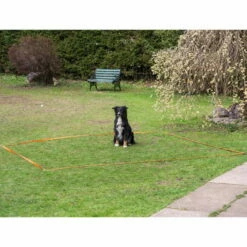 Obedience Starter-Set 6 Obedience Starter-Set -Hunter Shop obedience start set anwendung procyon 7030363