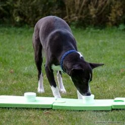 SniffleDog Classic Set Grün -Hunter Shop sniffledog classicsetgruen crt 6508 70134801Tq3iUe7GR5Pm