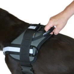 Sporthund Arbeitsgeschirr -Hunter Shop sporthund arbeitsgeschirr detail griff 7021881tBHsjayKEBIPP