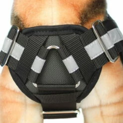 Sporthund Arbeitsgeschirr -Hunter Shop sporthund arbeitsgeschirr detail vorne 7021881v404MOGi5Fs5Y