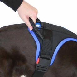 Sporthund Nylon Geschirr -Hunter Shop sporthund nylon geschirr griff 7262055Hc4ZJVZuY0cbG