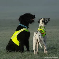 Visupart Hundebody Standard Signalgelb 9 Visupart Hundebody Standard Signalgelb -Hunter Shop visupart hundebodystandard crt 7999 4598095zzGa4OOjbC27B