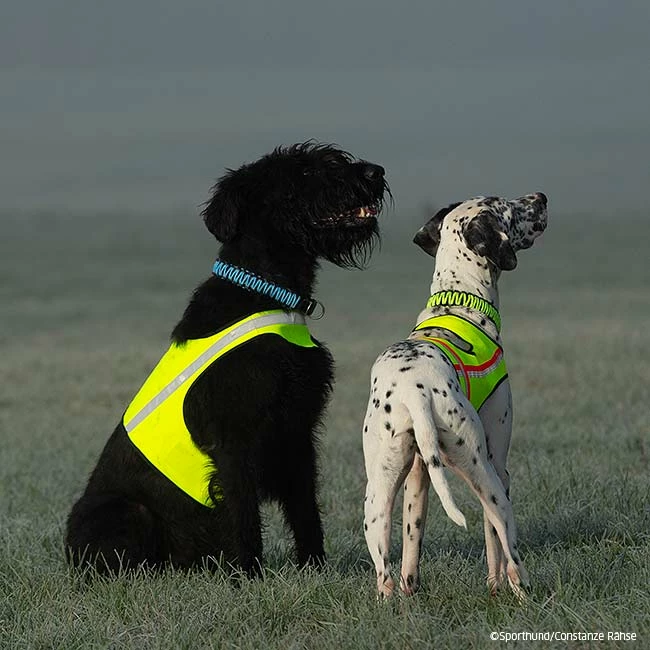 Visupart Hundebody Standard Signalgelb 5 Visupart Hundebody Standard Signalgelb – Bild 5