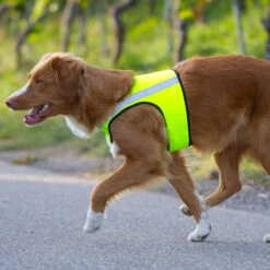 Visupart Hundebody Standard Signalgelb 7 Visupart Hundebody Standard Signalgelb -Hunter Shop weste standard visupart hundebody hundebild 4598099mtZiIhqtauHzCt